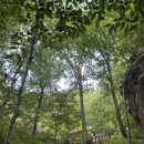 임가네목장 이미지