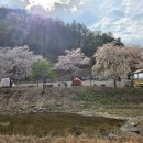 (주)민오토 | 횡성 오토캠핑 여름 시즌 — 모두의 캠핑장 계곡물놀이·수영장 힐링 가이드