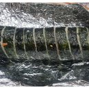 땡겨김밥
