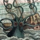 크라켄(Kraken) 이미지
