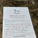 [수원 스타필드 맛집] 애견동반 식당 달마시안 평일 웨이팅 꿀팁, 멍찹스테이크 내돈내산 솔직후기!