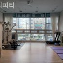 켈리피티
