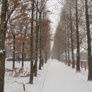 양지2 발전소 이미지