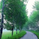 경찰병원장례식장 이미지