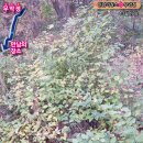 무악정 화장실 네이버블로그