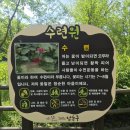 워크샵 | [인천/웰니스] 선셋 웰니스 워크샵 후기