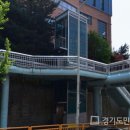 토당초 앞 이미지