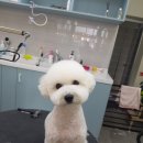 영심이살롱곰곰이호텔 이미지