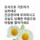 조*호 Daum카페