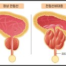 신라메디칼 이미지