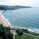 바다그림 이미지