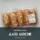 파리바게뜨 인천송림점 | 이마트 트레이더스 신상품 소시지 사라다빵 가성비는 좋은데 재구매는?