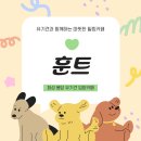 최루백로 | 화성 봉담 유기견 입양카페 훈트 내돈내산 방문 솔직후기