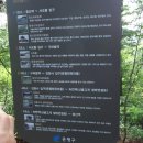 참나무 숲길 이미지