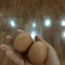 스파리스찜질방 이미지