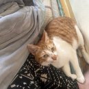 거제경남 아파트 이미지