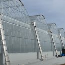 (주)서진팜 이미지