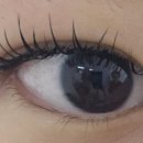 스칼프랩앤뷰티 속눈썹&눈썹&탈모 의정부점 이미지