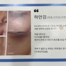 비비루체