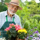 나눔방문요양센터 이미지