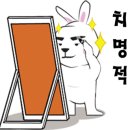 하이카세차장 이미지