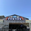 만리장벌 | [충남 태안] 태안 여행 1일차 : 만리포 숙소랑 낚시 후기 <모항항 수산물직판장 / 너울횟집 / 말리오션...