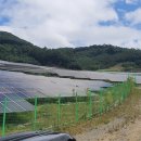 태양 행정사 사무소 이미지