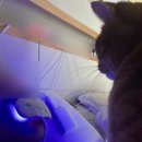 선아전자 | 수도권 투어 하는 여자의 8월 일상