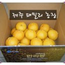 패밀리농장 이미지