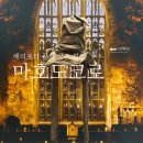 해리포터 공식 굿즈 팝업 마호도코로 홍대 가볼만한 곳 AK PLAZA