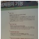 용두구제 이미지