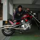 도람도람 이미지