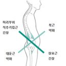 꼬모다필라테스