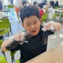 부영체육관 이미지