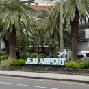 4189 | 제주도 아이랑 함께한 가성비 SJ렌트카 셔틀버스 카시트 이용 후기