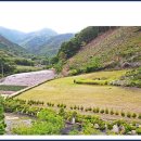 오사리 태양광발전소 이미지