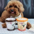 스페셜 퍼피 케이크 이미지