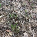 한진농장 이미지