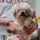 GS25평택신장점 이미지