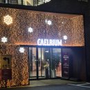 리움 | 베이커리 맛집 부산북구대형카페 카엘리움 후기