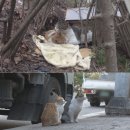 우애농장 이미지