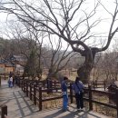 한옥마을 이미지