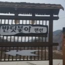밀양반딧불이 이미지