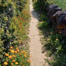 무릉1공원 이미지