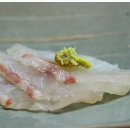 선 스시 이미지