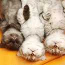 경북대학교 치의학전문대학원 이미지