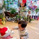 성운화원