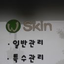 유명한 스킨