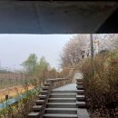 (주)이마트 가든5점 | 가든파이브 장지천 벚꽃길 8경 and 송파구 파인타운 7경