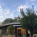 박터진흥부네 이미지